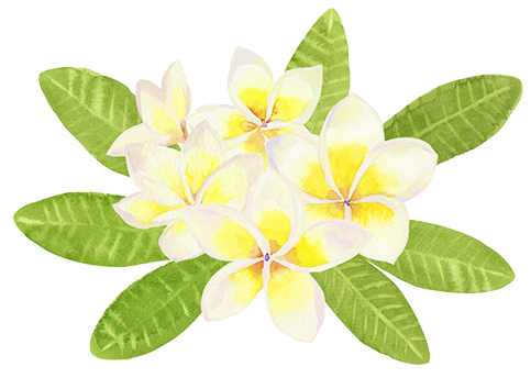 deco